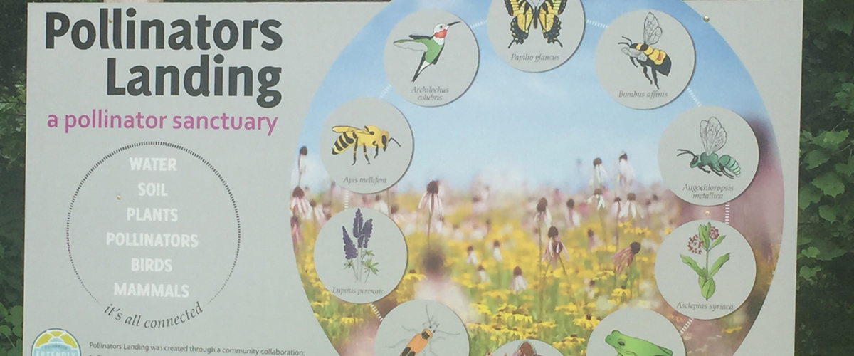 Pollinators Landing