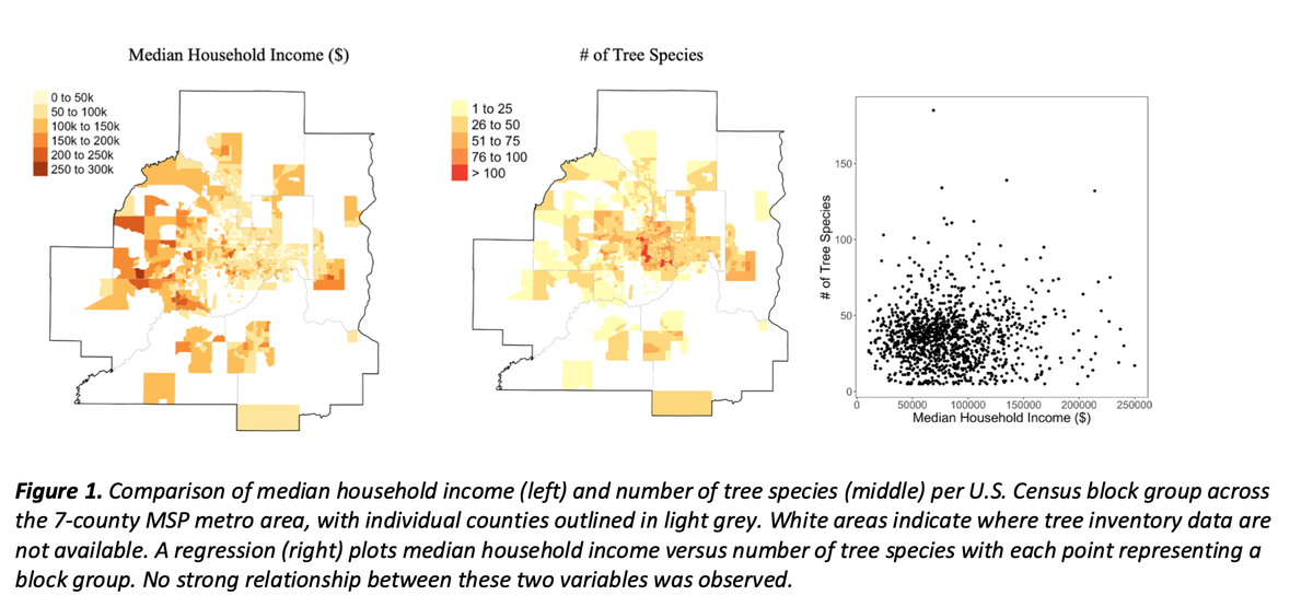 Number of tree species by income