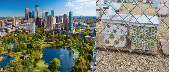 Minneapolis skyline and beehive boxes